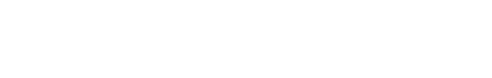 BW Yelken
